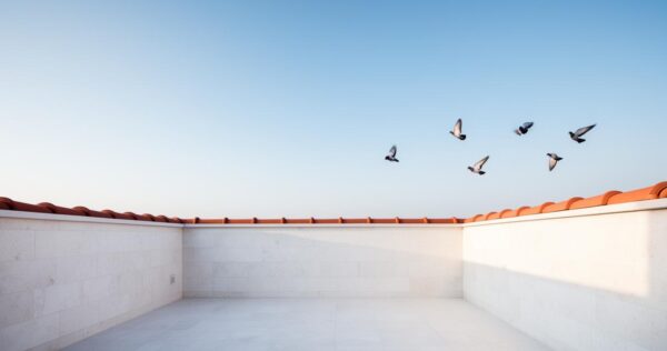 Ultrason anti-pigeon : comment ça fonctionne ? Quelle efficacité selon les normes légales ?