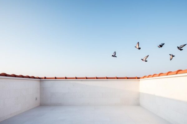 Ultrason anti-pigeon : comment ça fonctionne ? Quelle efficacité selon les normes légales ?